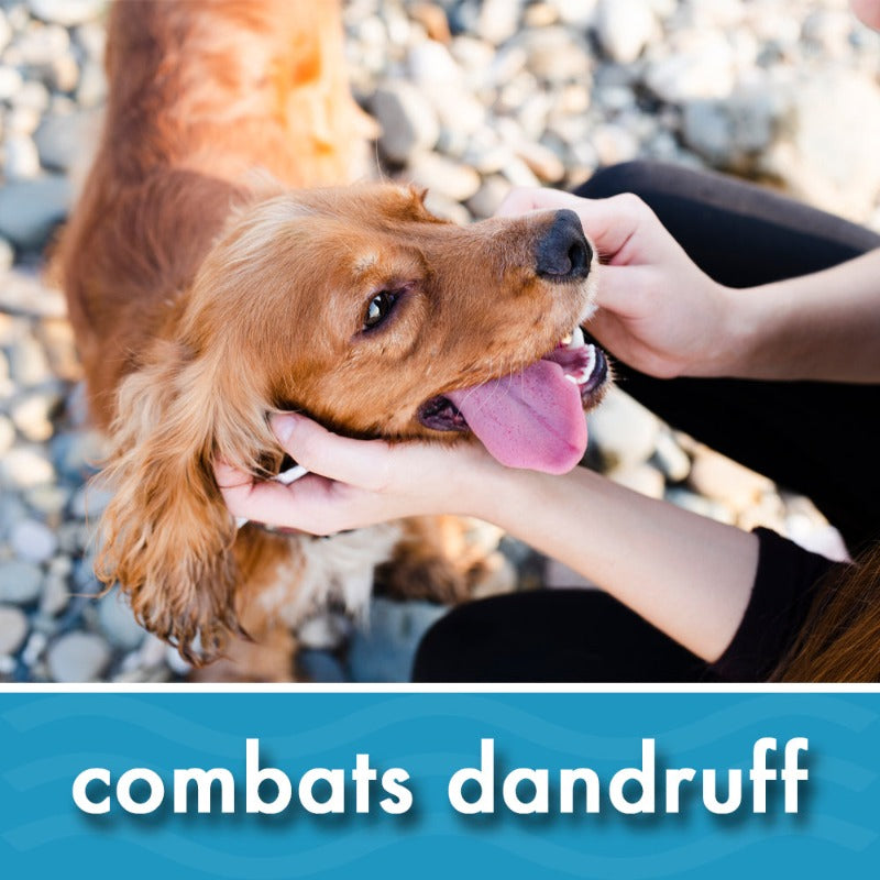 Oatmeal Dog Shampoo for Sensitive, Itchy Skin & Dandruff