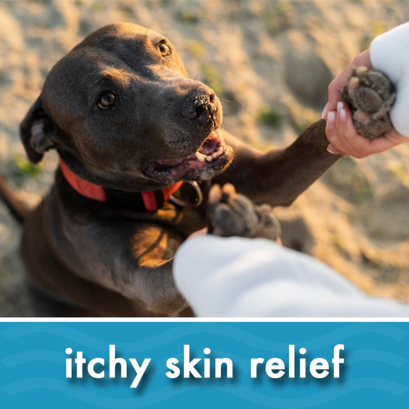 Organic Hemp Seed Oil for Dogs & Cats