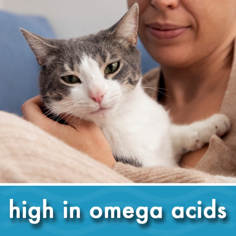 Organic Hemp Seed Oil for Dogs & Cats