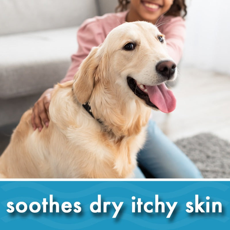 Oatmeal Dog Shampoo for Sensitive, Itchy Skin & Dandruff