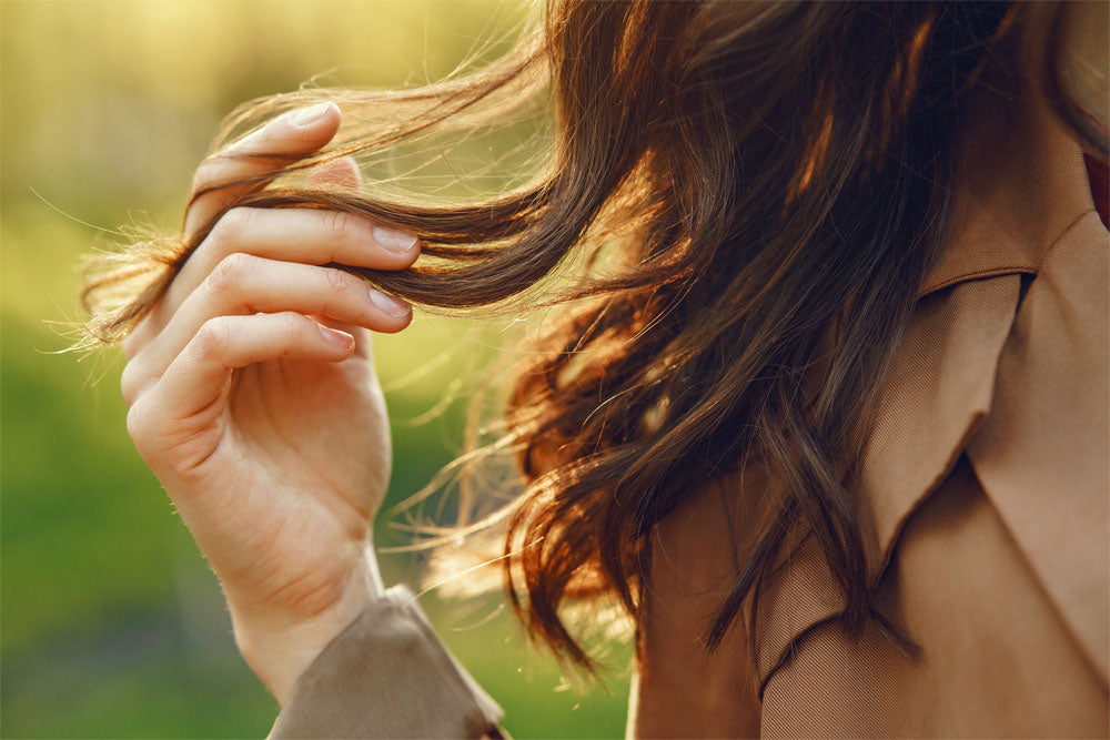 Benefits of Hemp Seed Oil on Hair