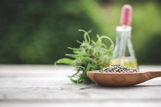 hemp seed oil benefits