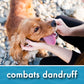 Oatmeal Dog Shampoo for Sensitive, Itchy Skin & Dandruff