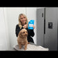 Liquid Coconut Oil for Dogs & Cats