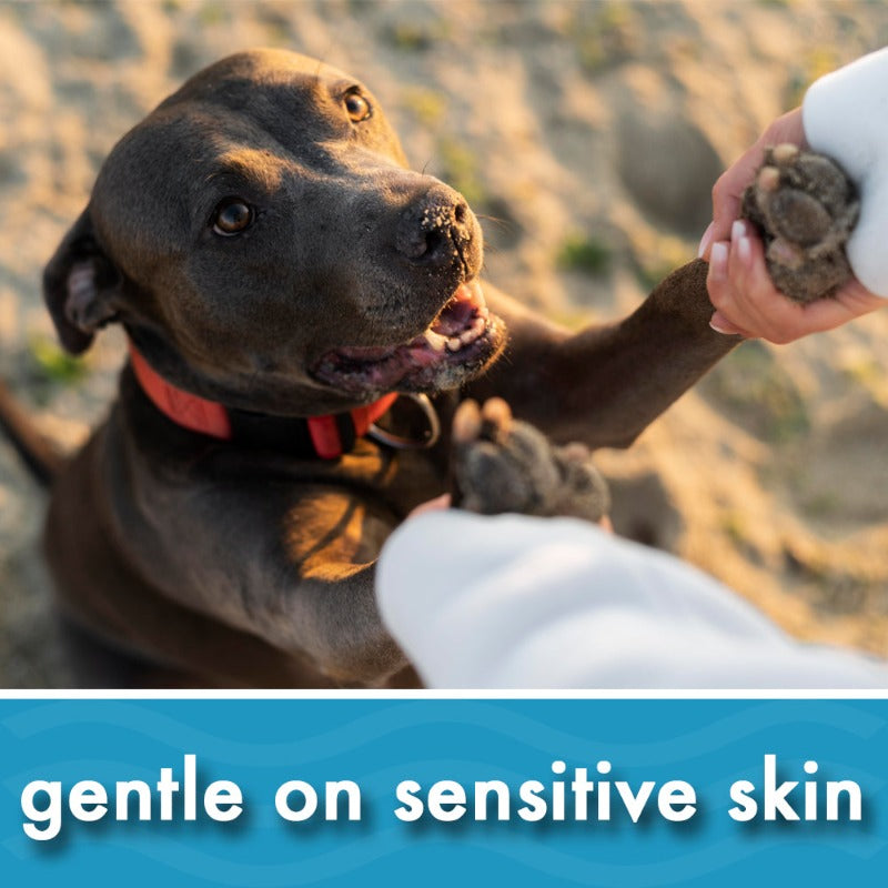 Oatmeal Dog Shampoo for Sensitive, Itchy Skin & Dandruff